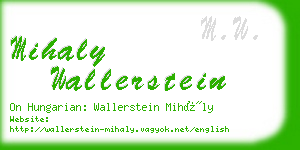 mihaly wallerstein business card